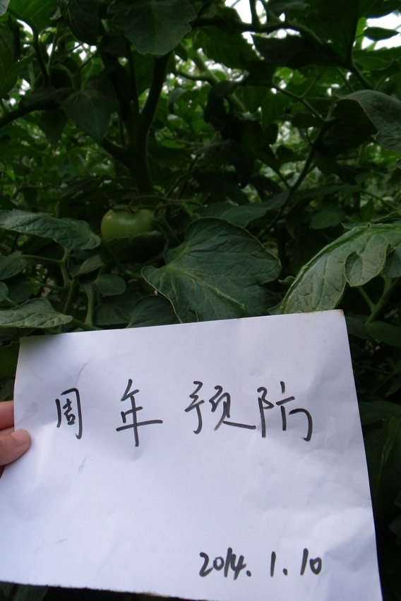 图片5_爱奇艺.jpg