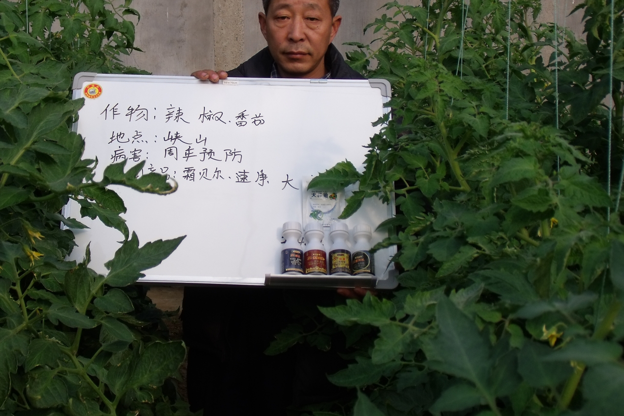 图片3_爱奇艺.jpg
