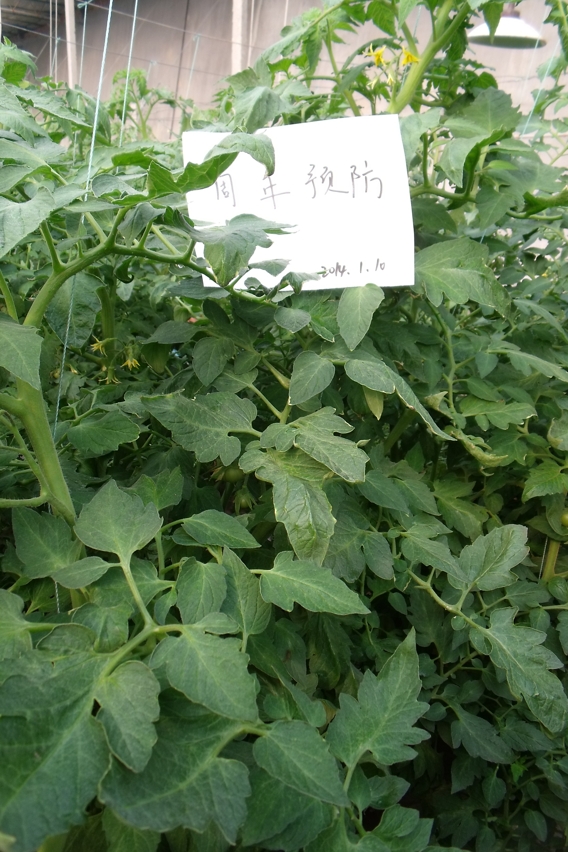图片6_爱奇艺.jpg