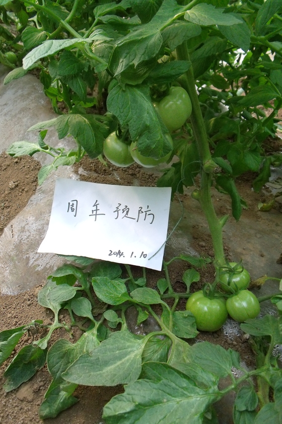 图片7_爱奇艺.jpg